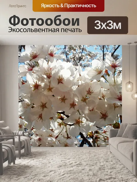 Фотообои Сакура