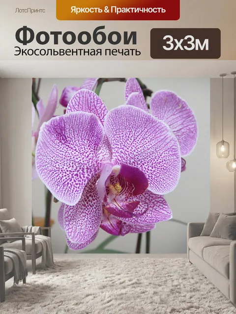 Фотообои Фиолетовая орхидея