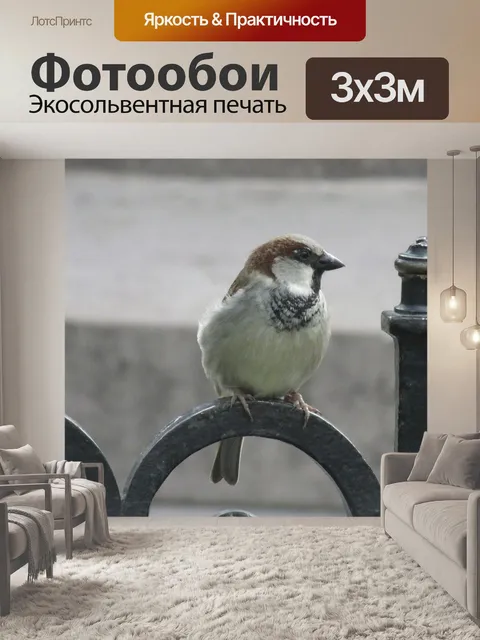 Фотообои Птица