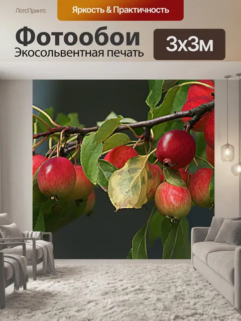 Фотообои Яблоки