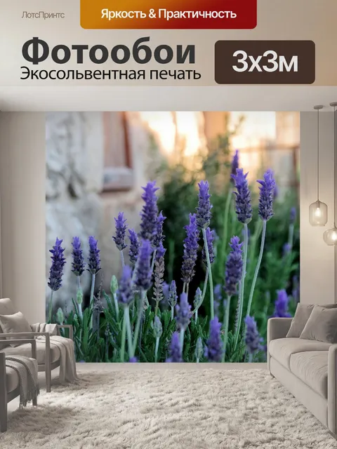 Фотообои Фиолетовые растения лаванды