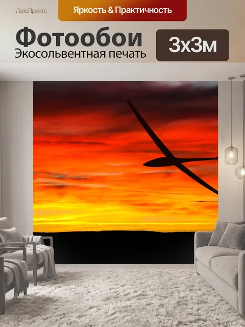Фотообои Планер самолета на закате