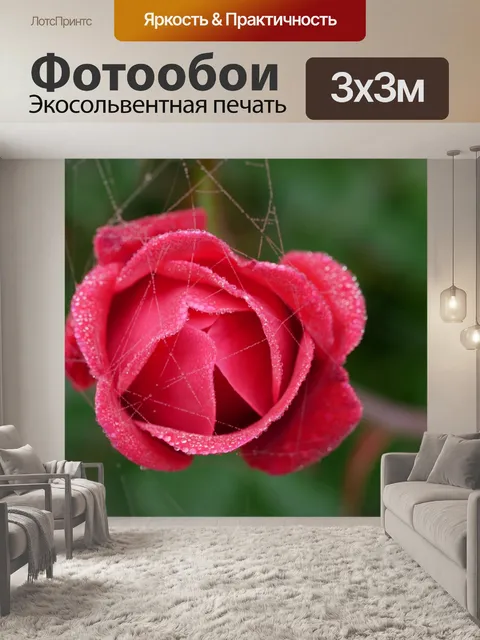 Фотообои Сад