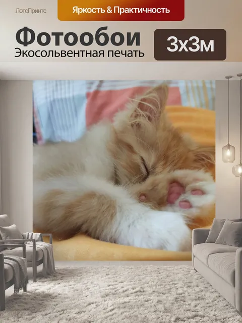 Фотообои Спящий кот