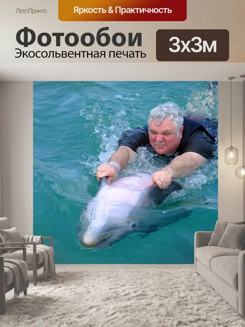 Фотообои Дельфин