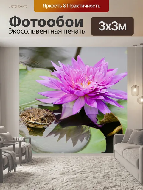 Фотообои Водяная лилия