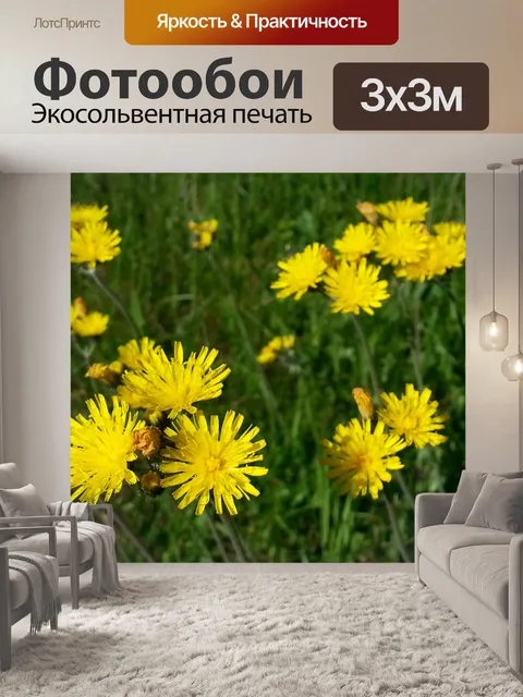 Фотообои Желтых полевых цветов