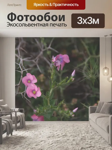 Фотообои Матовые розовые полевые цветы