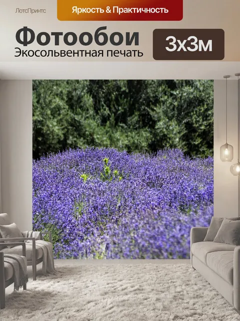 Фотообои Лавандовое поле