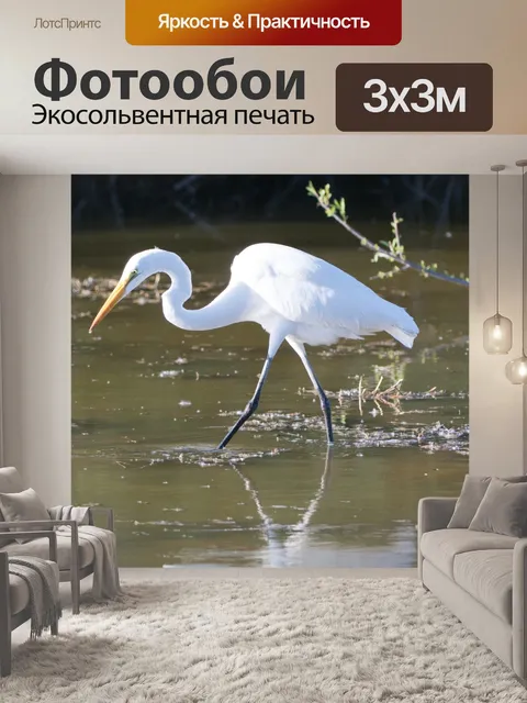Фотообои Белая цапля