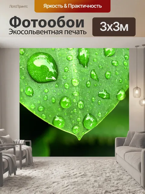 Фотообои Капля воды на листе