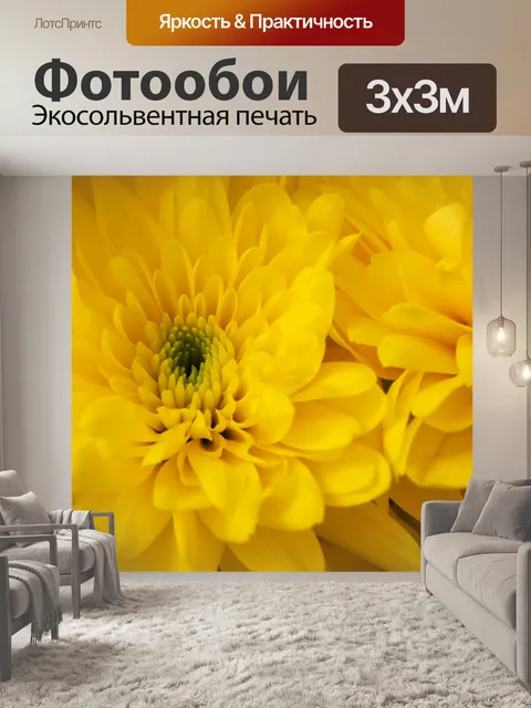Фотообои Хризантемы