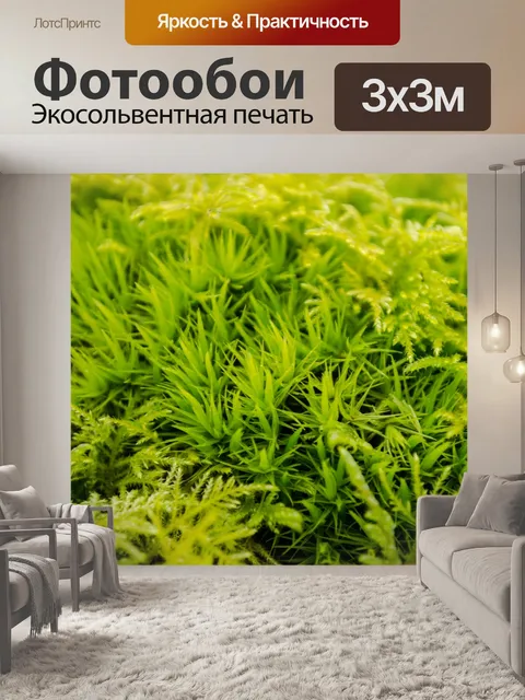 Фотообои мох