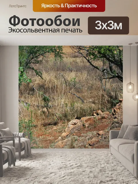 Фотообои зеленые деревья и сухие луга