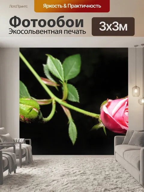 Фотообои Цветок