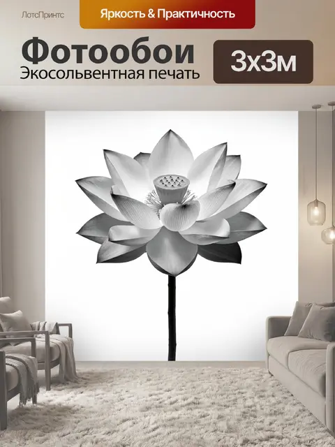 Фотообои Белый лотос в минимализме