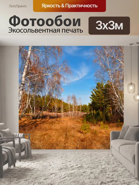 Фотообои Осенний лес