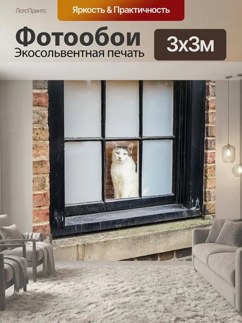 Фотообои Кошка