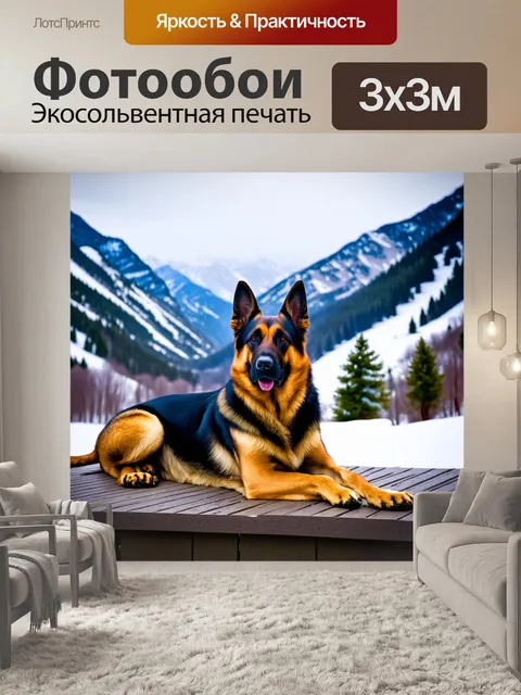 Фотообои немецкая овчарка, нежно скрючившись, лежит на террасе с видом на горы