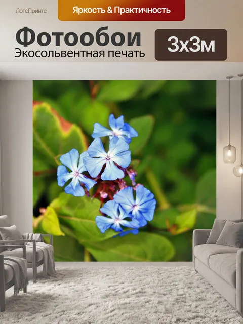Фотообои изящные синие цветы