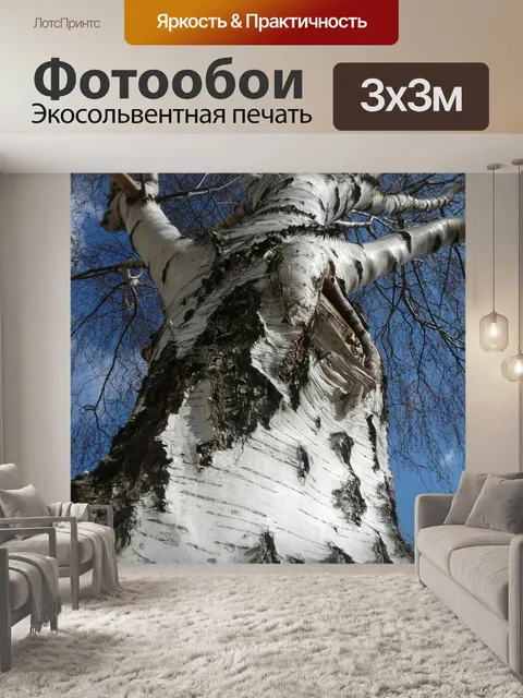 Фотообои Береза