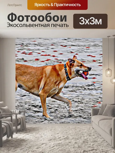 Фотообои Happy Dog на пляже