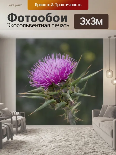 Фотообои Фиолетовый чертополох с темным фоном