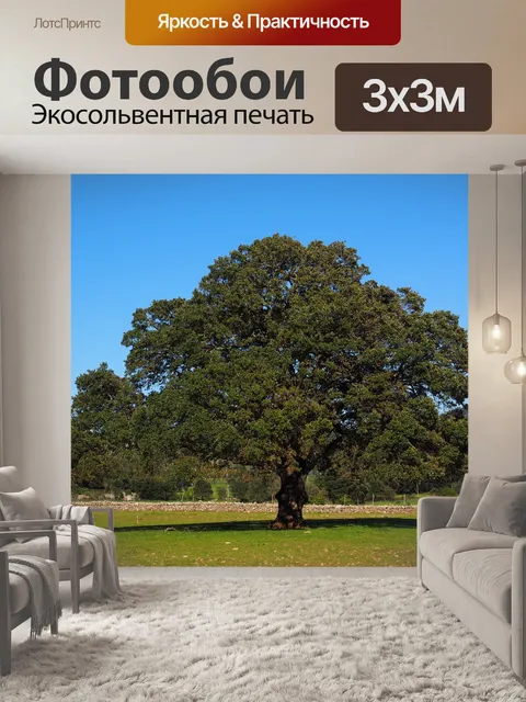 Фотообои Дерево
