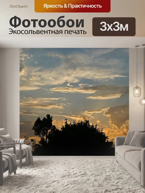Фотообои Закат за деревьями