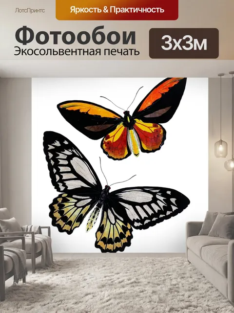 Фотообои Бабочка мотылек винтажное искусство