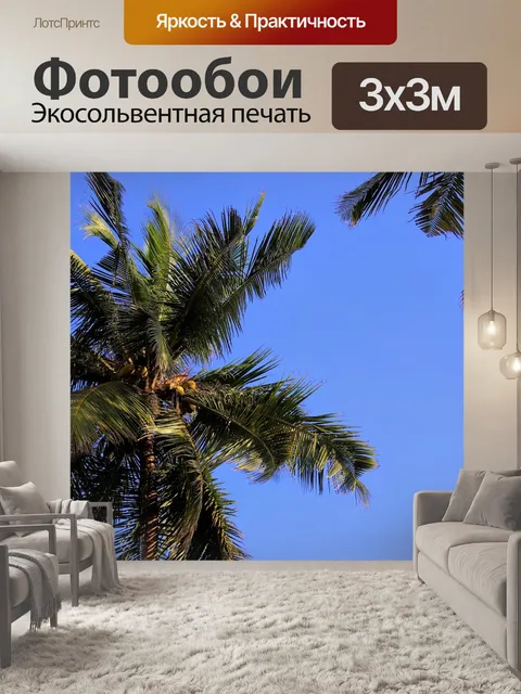 Фотообои Пальма