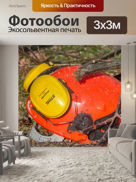 Фотообои Ош