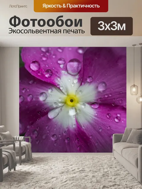 Фотообои Цветок