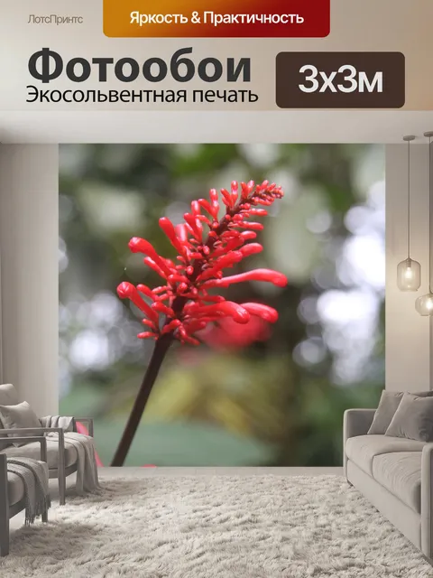 Фотообои Цветок красных пальцев