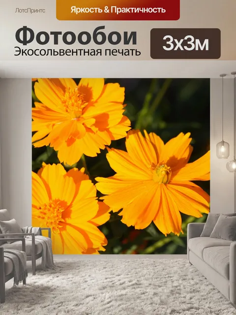 Фотообои Желтое Cosmos Trio