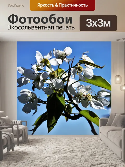 Фотообои Весна