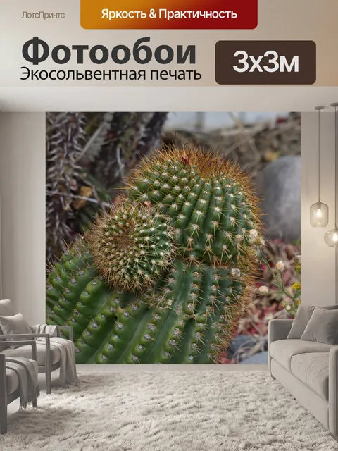 Фотообои Кактусовые ветви