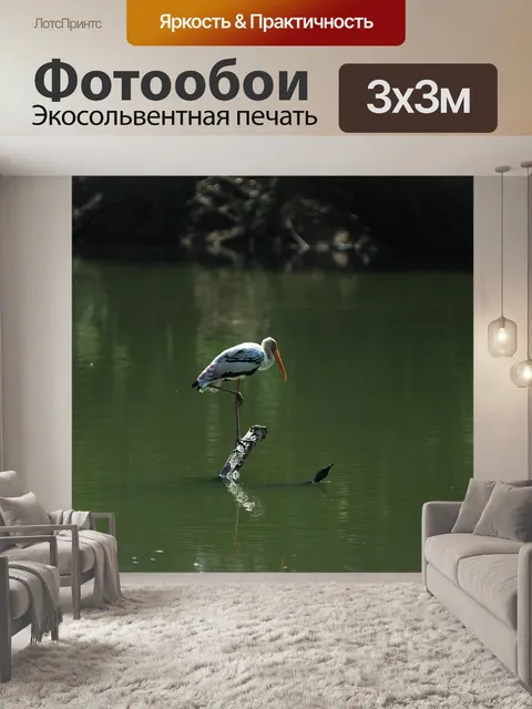 Фотообои Пеликан
