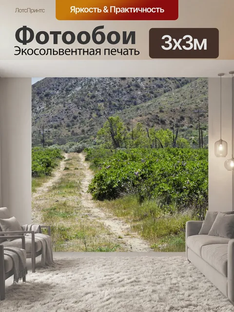 Фотообои Дорога в сиреневом поле