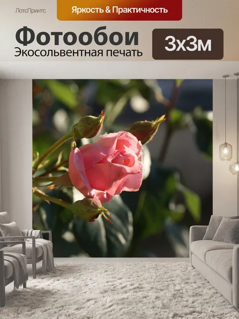Фотообои Розовый