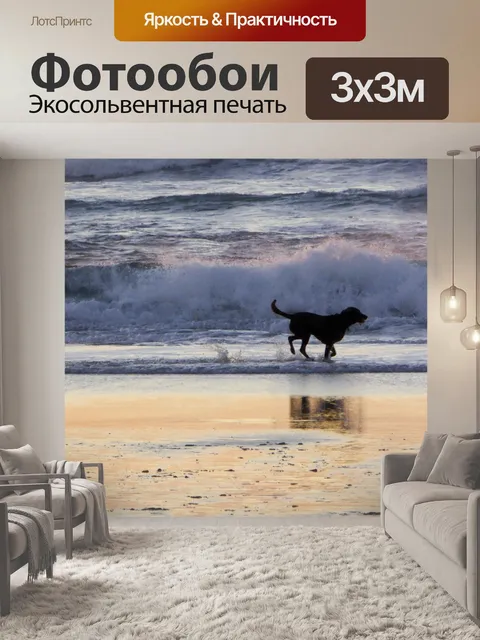 Фотообои Собака бежит вдоль берега океана