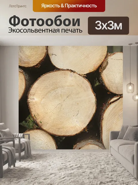 Фотообои Шесть