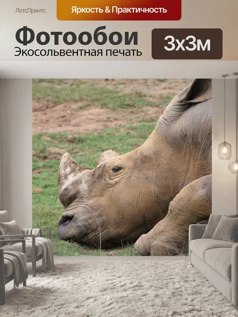 Фотообои Природа