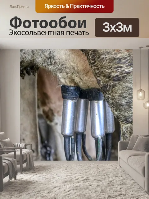 Фотообои Молочный завод