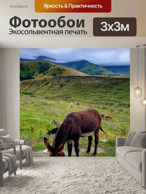 Фотообои Осел