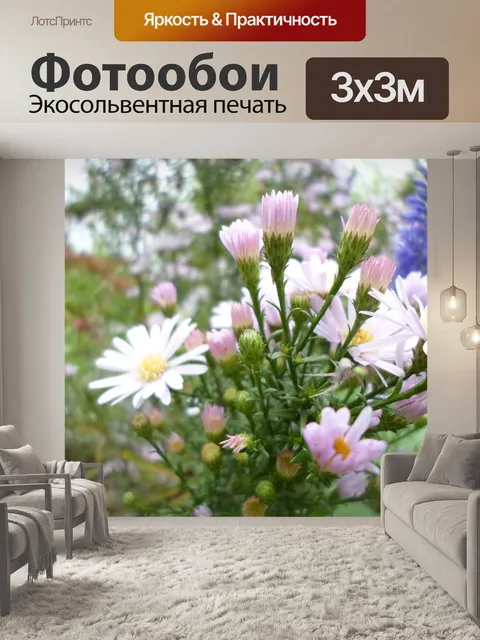 Фотообои Белый и голубой цветок