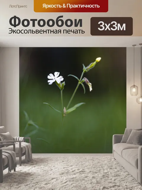 Фотообои Просто