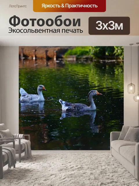 Фотообои Гусь