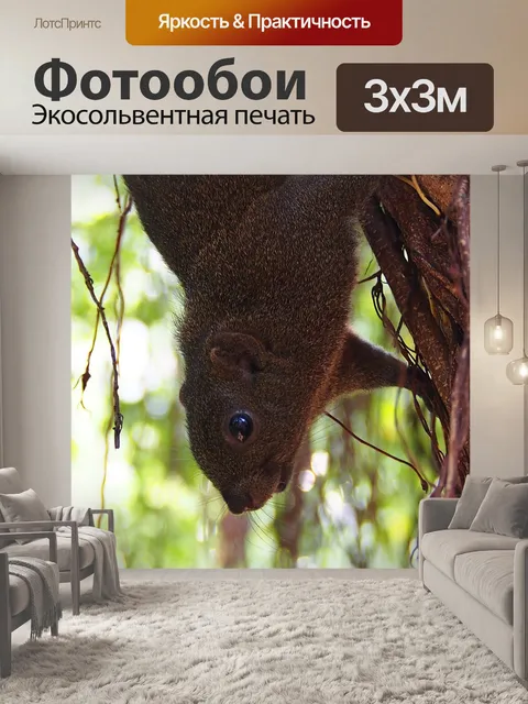 Фотообои Красный живот