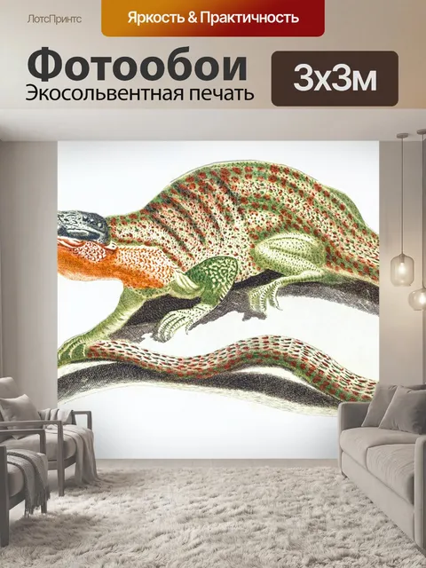 Фотообои Рептилии винтаж искусство старый